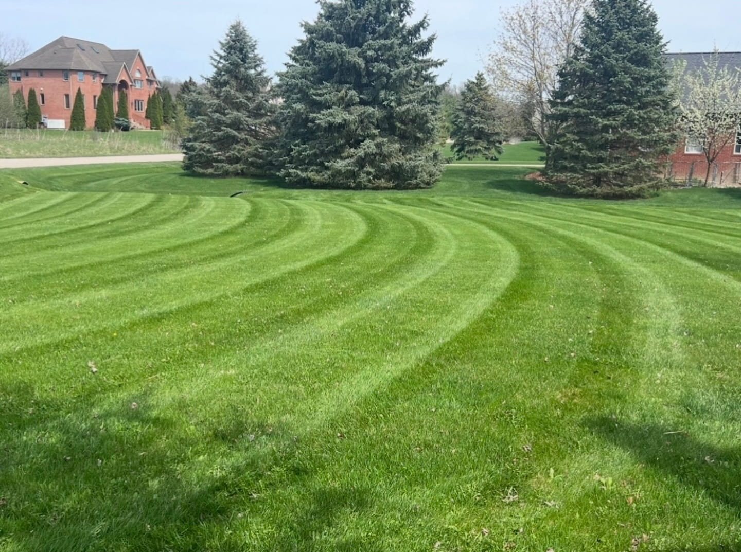 Professional curved lawn striping on a Michigan property